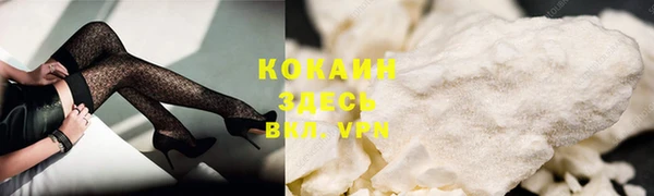 стаф Надым